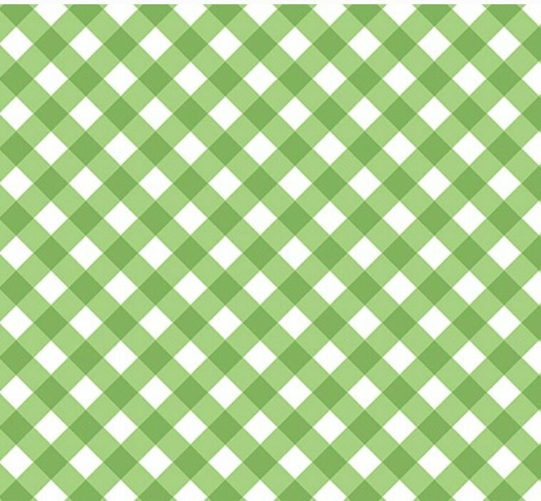 Retro Road Trip Gingham Green