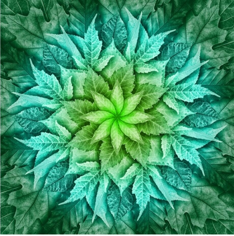 Dream Big Leaf 074 Mint Panel