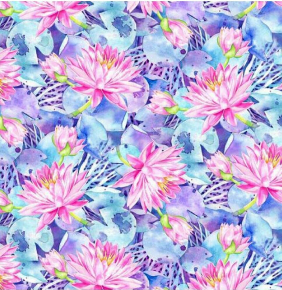 Waterlilies Flowers Blue
