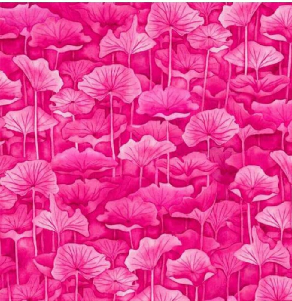 Waterlilies Leaves Pink