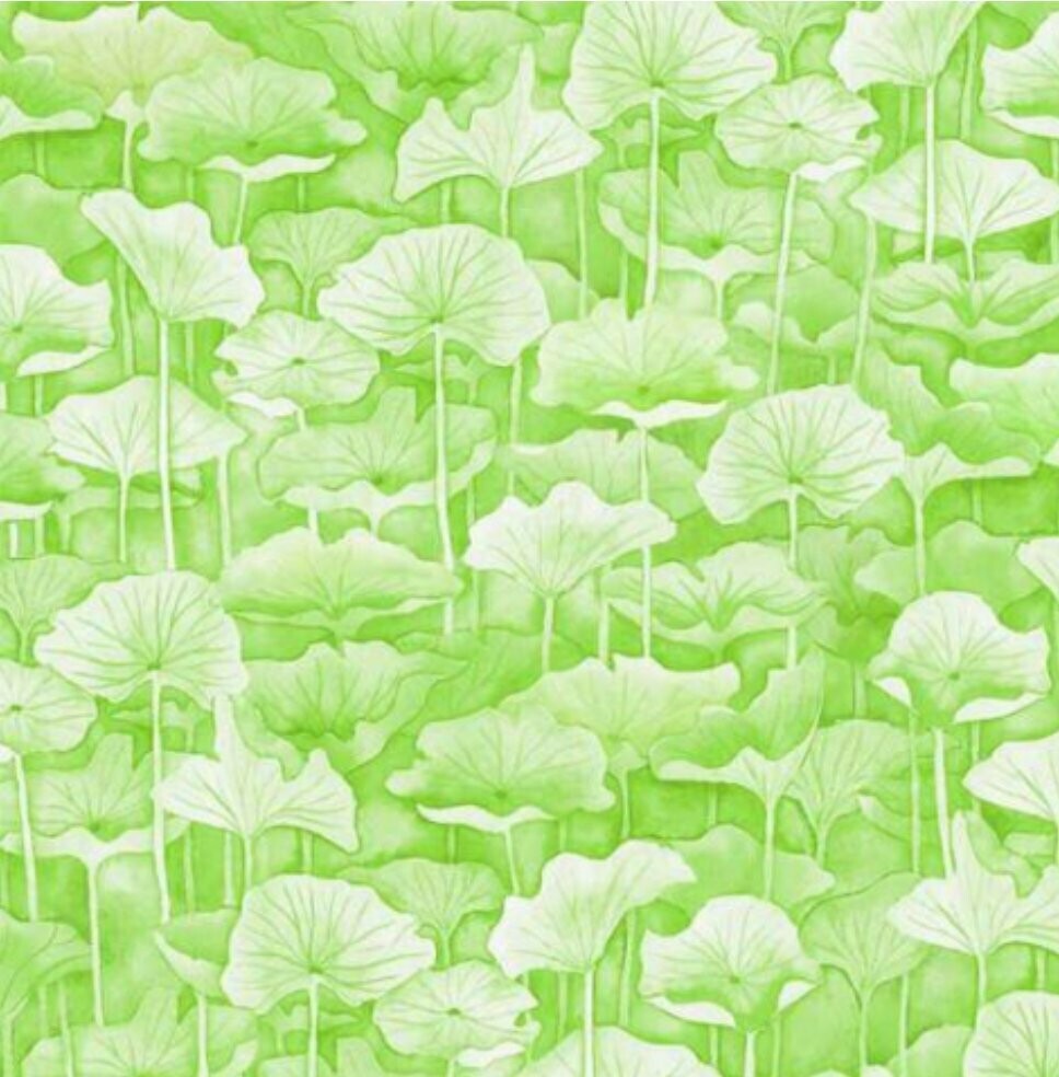 Waterlilies Leaves Green