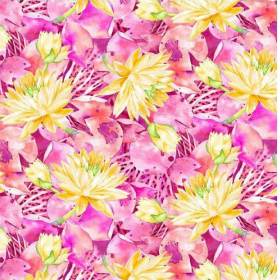 Waterlilies Flowers Pink