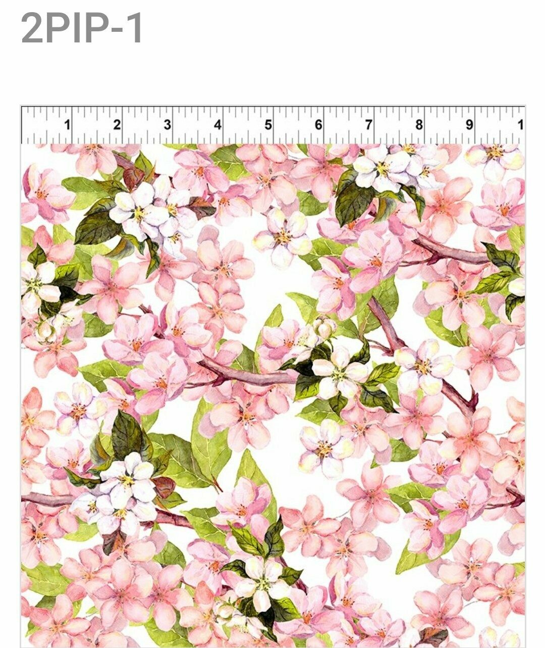 Pretty in Pink Pink Blossom on White