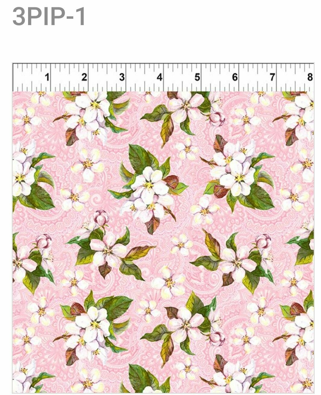 Pretty in Pink White Blossom on Pink
