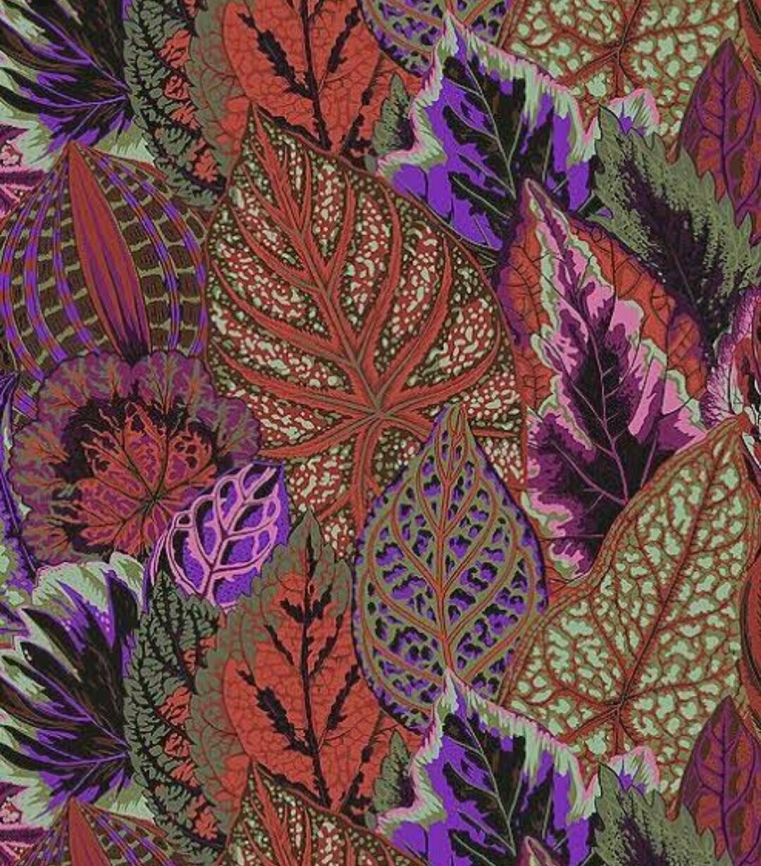 Kaffe Collective Coleus Dark