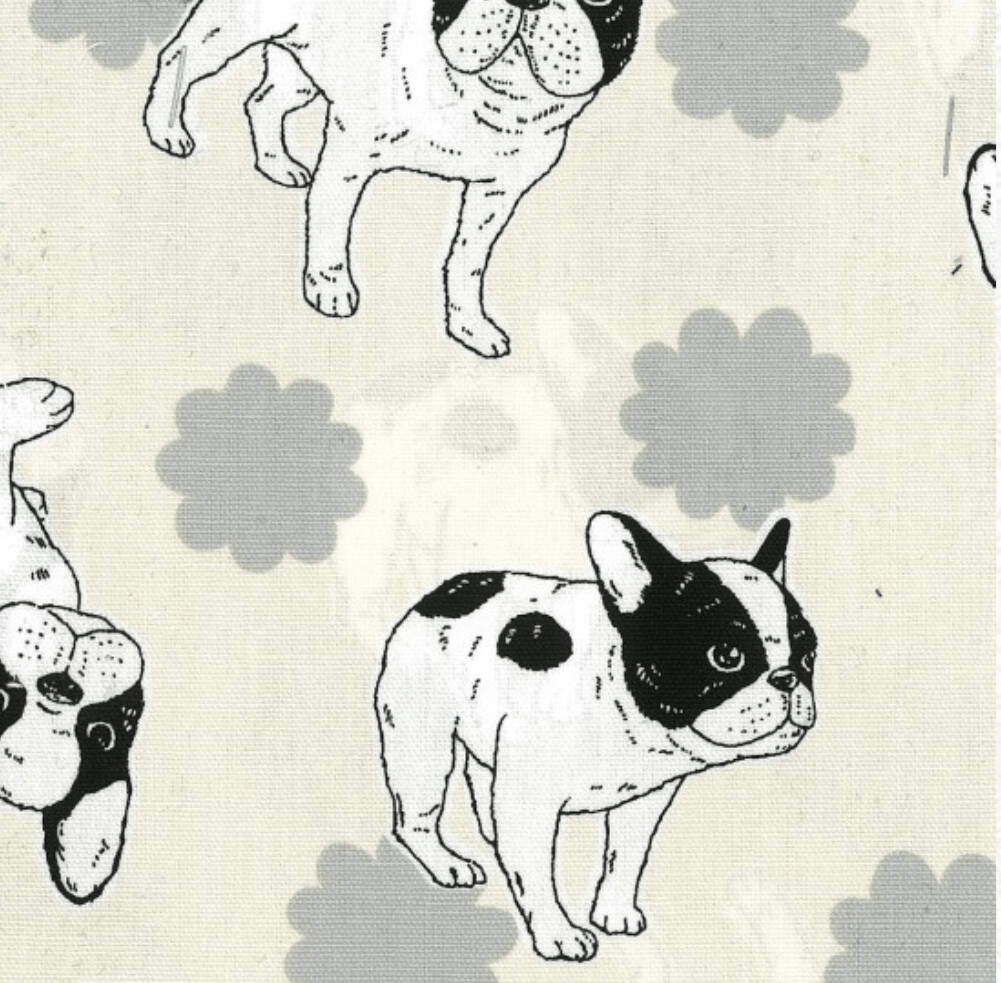 French Bulldogs Wara Cream