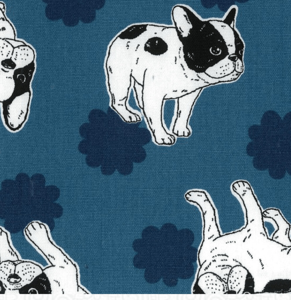 French Bulldogs Wara Blue