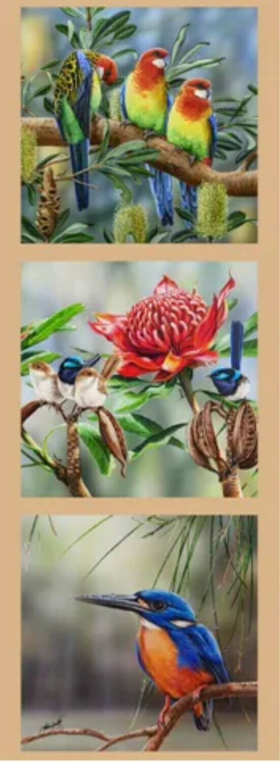 Wildlife Art Panel DV3173 Rosellas, Blue Wrens, Kingfisher