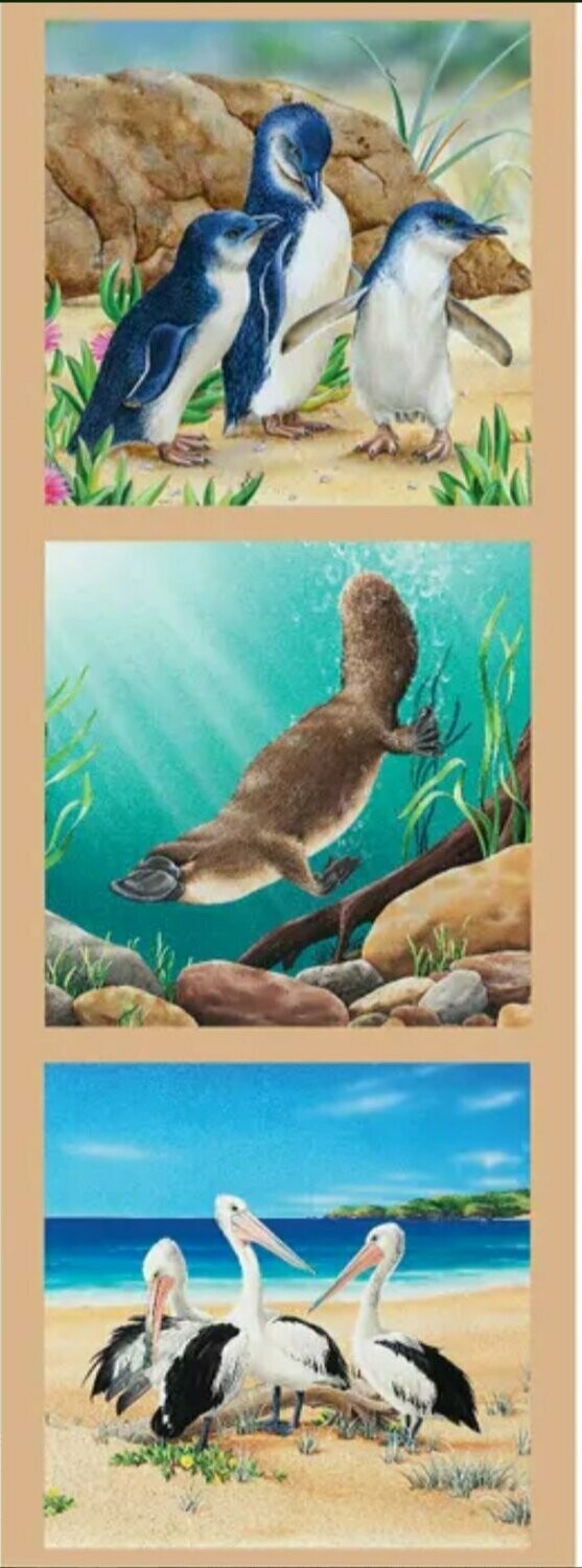 Wildlife Art Panel DV3176 Penguins,  Platypus, Pelicans