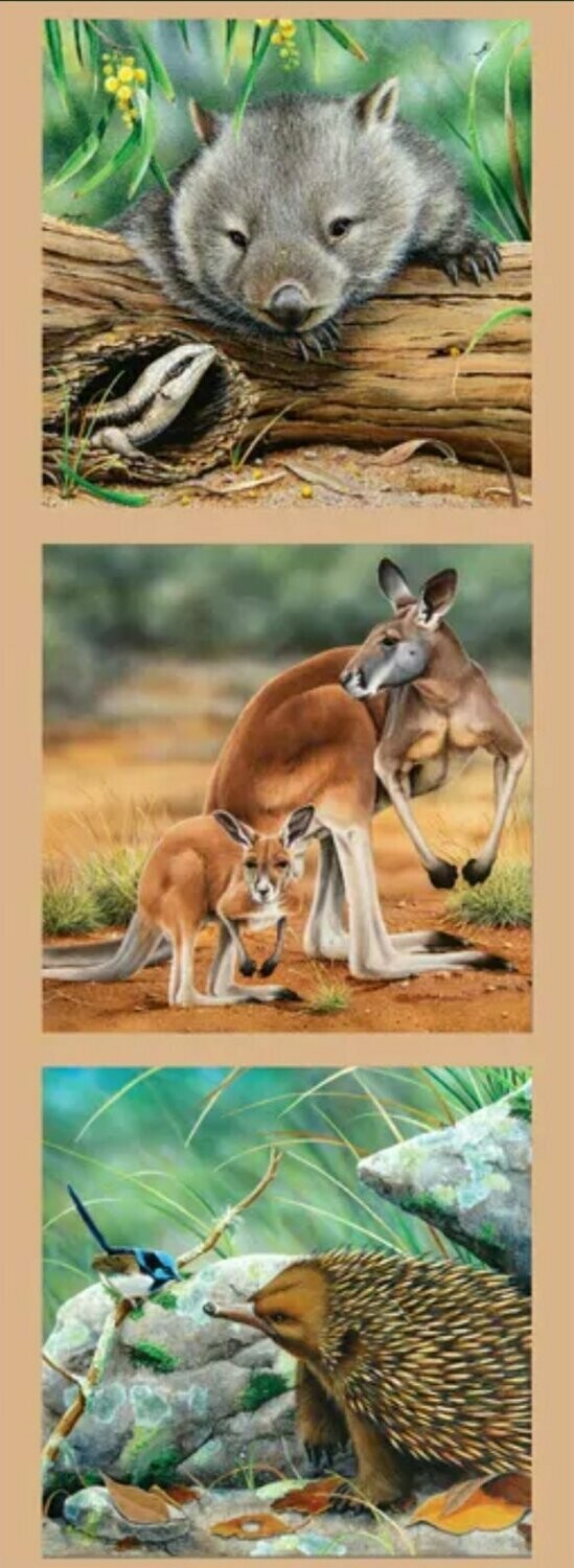 Wildlife Art Panel DV3177 Wombat, Kangaroos, Echidna