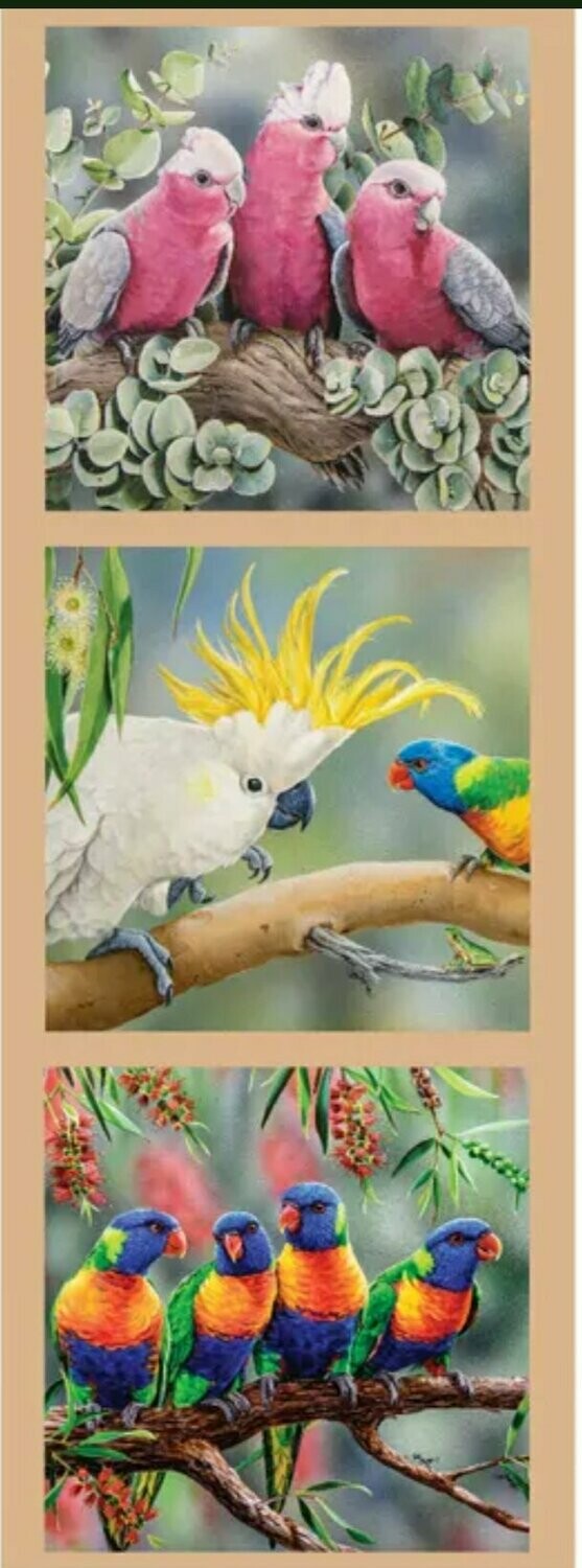 Wildlife Art Panel DV3178 Galahs, Kookaburras Rainbow Lorikeets