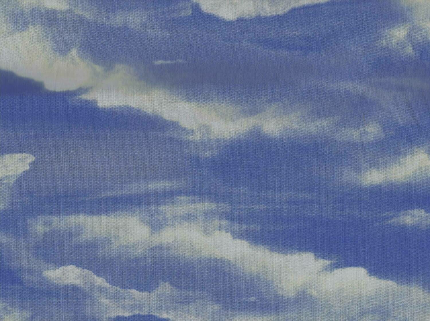 Mustang Meadow Sky