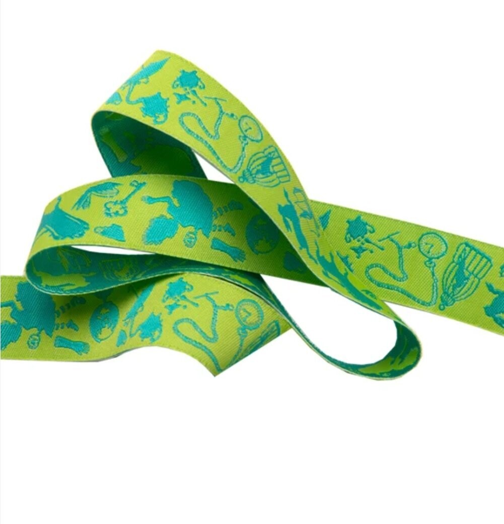 Tula Pink Curiouser & Curiouser Ribbon Down the Rabbit Hole Green 7/8" or 22mm