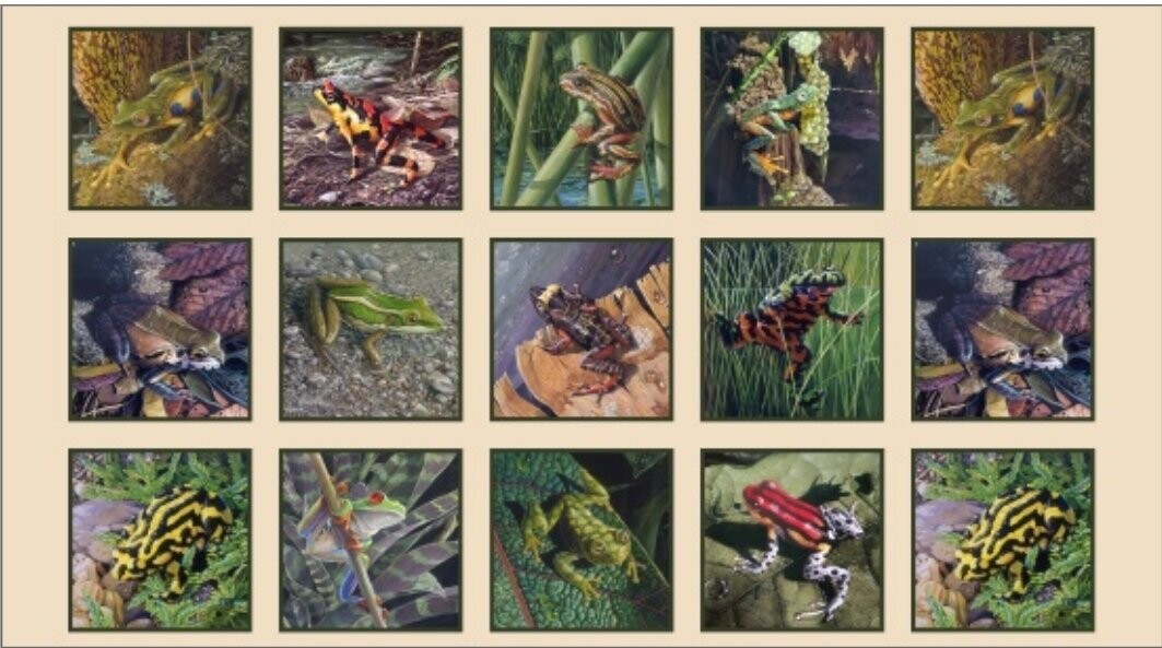 ES 16000 Amazing Frogs Multi Panel