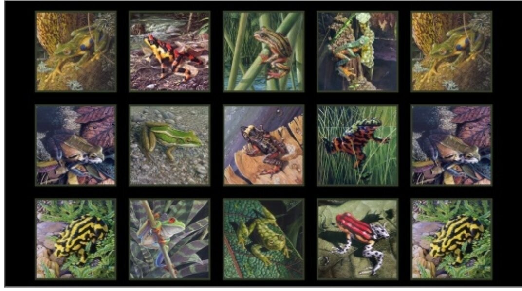 ES 16000 Amazing Frogs MULTI panel