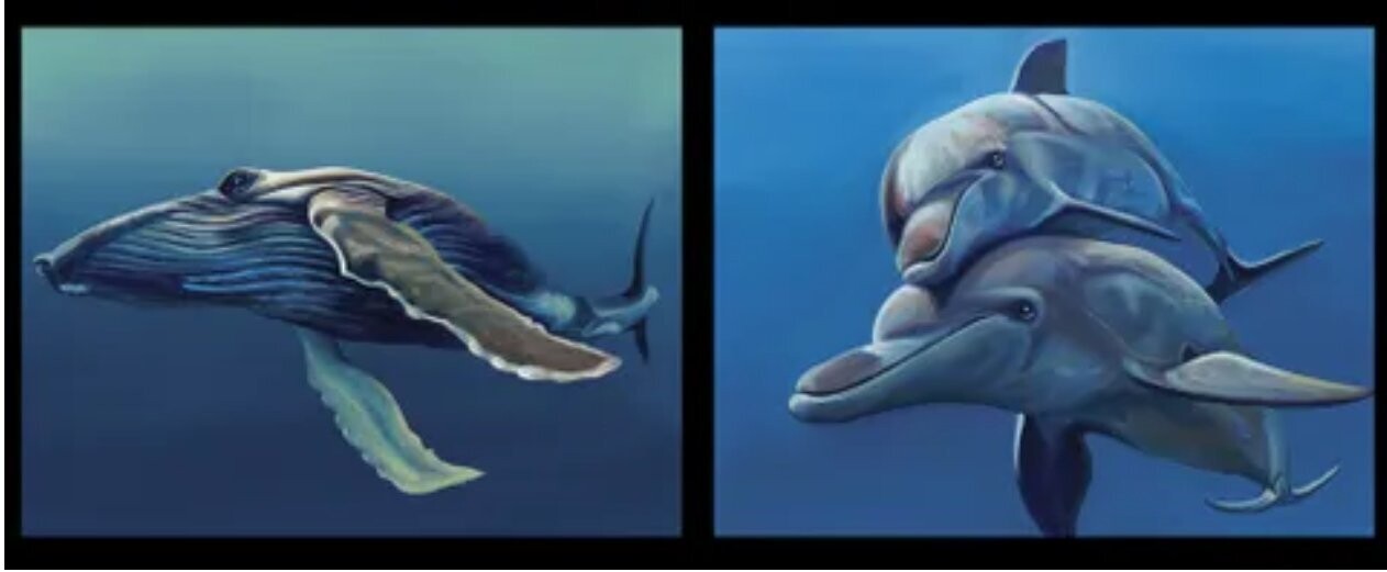 Chris Riley Art Double Whale and Dolphins Panel DV