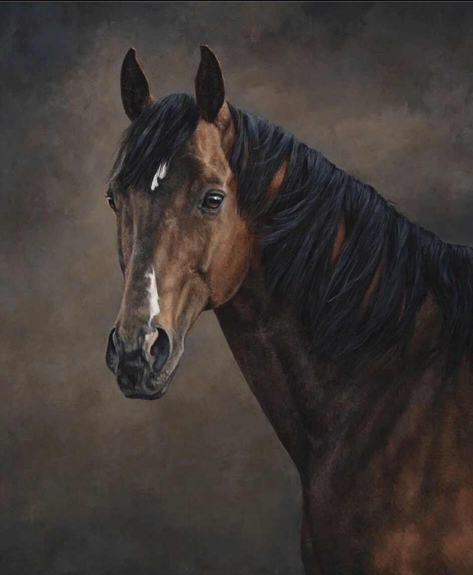 High Horse Intelligence Panel