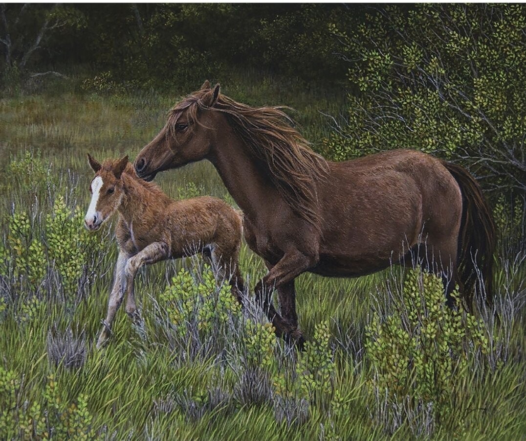 High Horse Running Free with Mom Panel