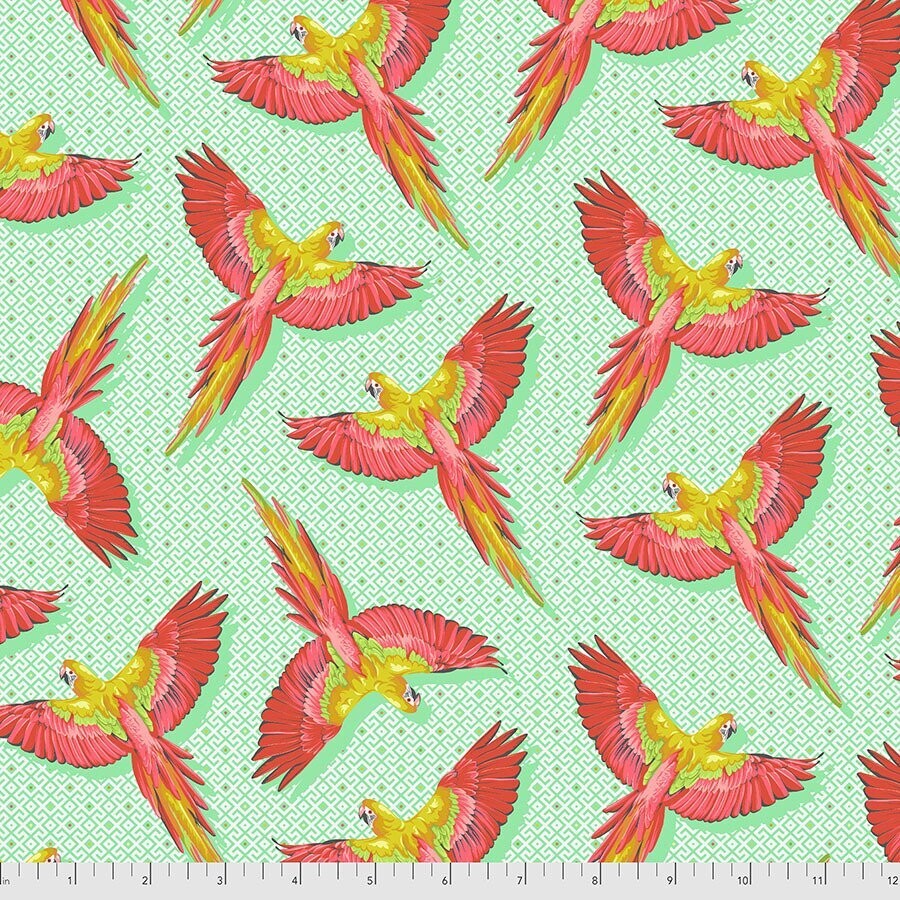 Daydreamer by Tula Pink Macaw Ya Later PWTP170 Mango