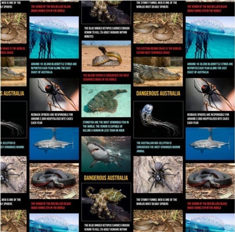 Dangerous Australia C Postcards Allover
