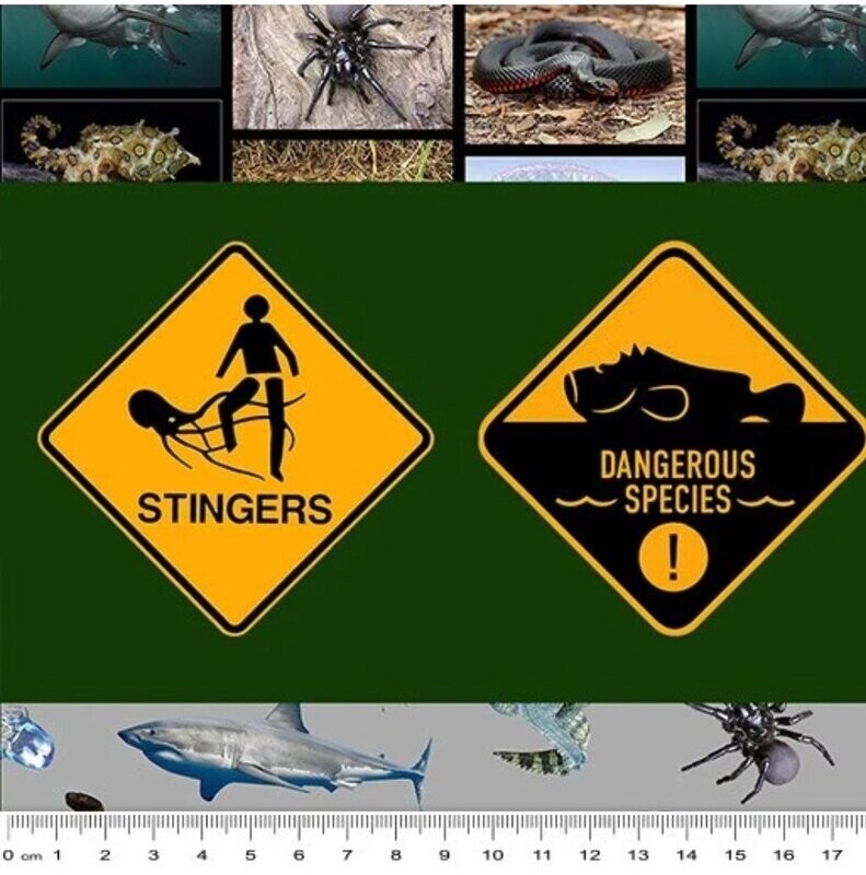 Dangerous Australia repeating stripe