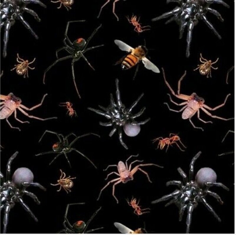 Dangerous Australia G Insects Black