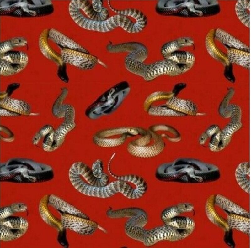 Dangerous Australia I Snakes Red