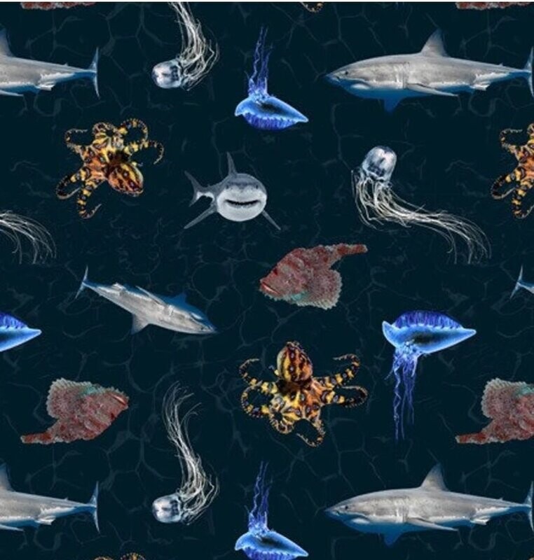 Dangerous Australia F Sea Dark Blue