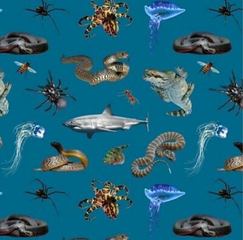 Dangerous Australia E Sea and Land Teal