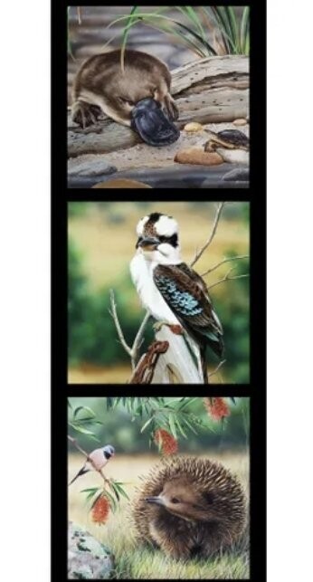 Wildlife Art Panel DV3706 Platypus, Kookaburra, Echidna