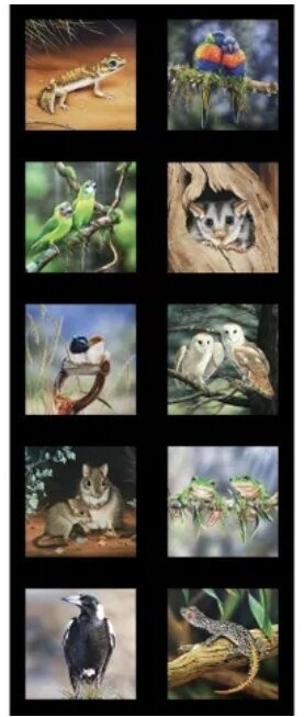 Wildlife Art Panel DV3707