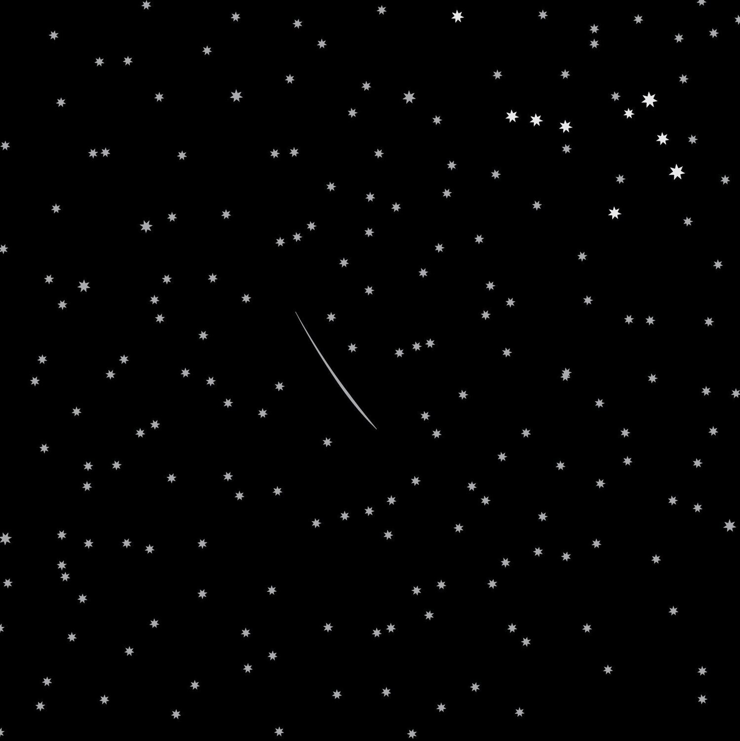 Bush Celebration Night Sky Black DV5404