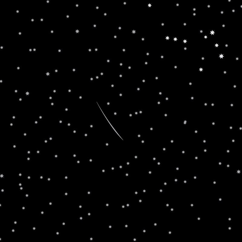 Bush Celebration Night Sky Black DV5404