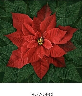 Dream Big Holiday Poinsettia Red
