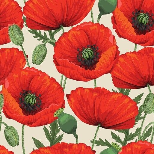 Poppies on Cream Background 105" wide backing