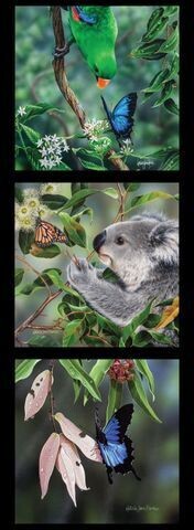 Wildlife Art DV3719 Panel 3 Block Butterflies with parrot and koala.