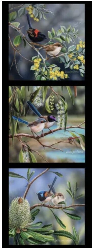 Wildlife Art DV5094 Red Back, Purple Headed and Variegated Fairy Wrens Triple Panel