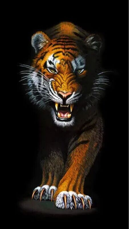 Robert Kaufman Wild Kingdom Tiger Panel 55-60cm x WOF HALF PRICE