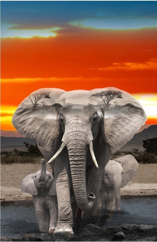 Elephant Hoffman Wild Kingdom Single Panel HALF PRICE
