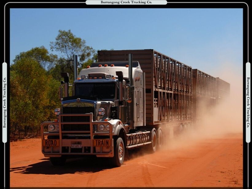 Road Train Panel - Cattle Carrier Red Bull Bar - on Special 50% OFF
