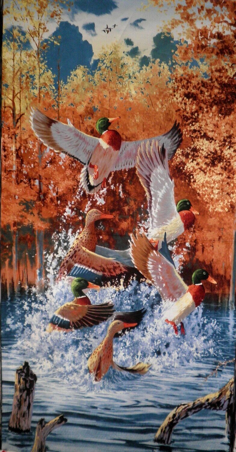 First Light Single Panel 60cm × WOF
