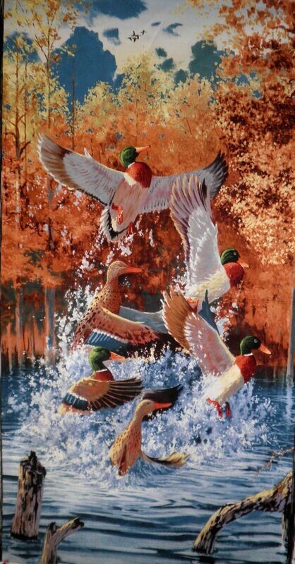 First Light Single Panel 60cm × WOF