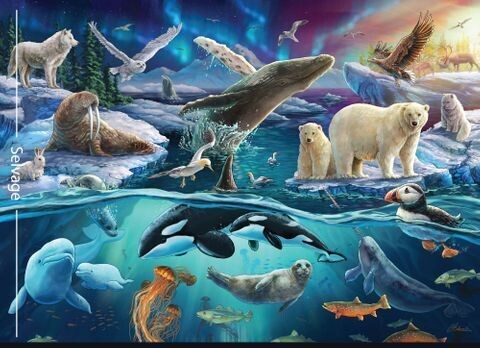 Carlie Edwards Artic Panel DV6048 196cm x 234cm