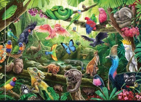 Carlie Edwards Australia Panel DV6007