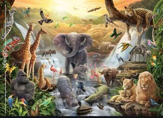 Carlie Edwards Africa Panel DV6010