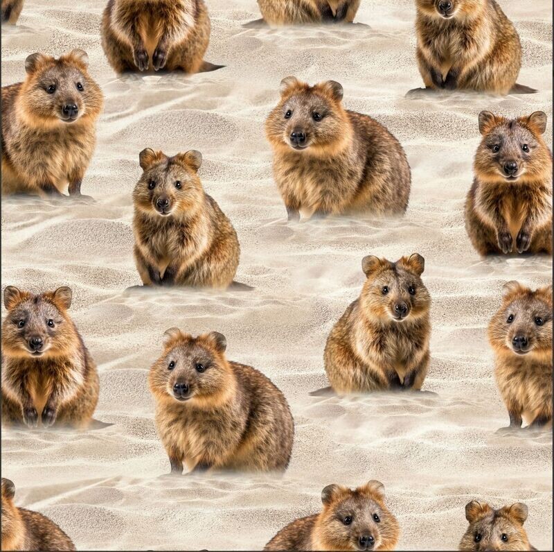 Quokkas Coastal print