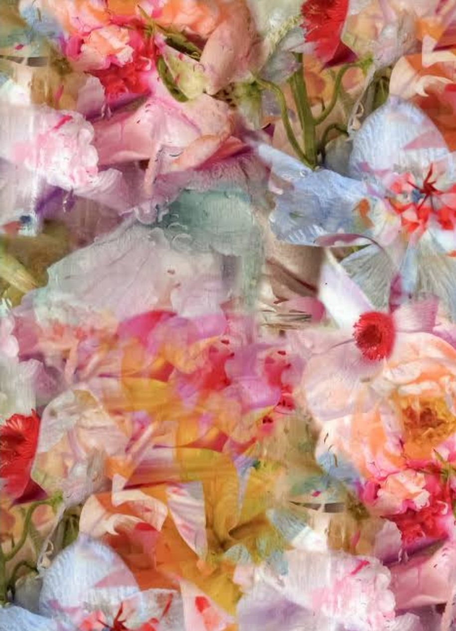 Liberty Tana Lawn Frozen In Time A