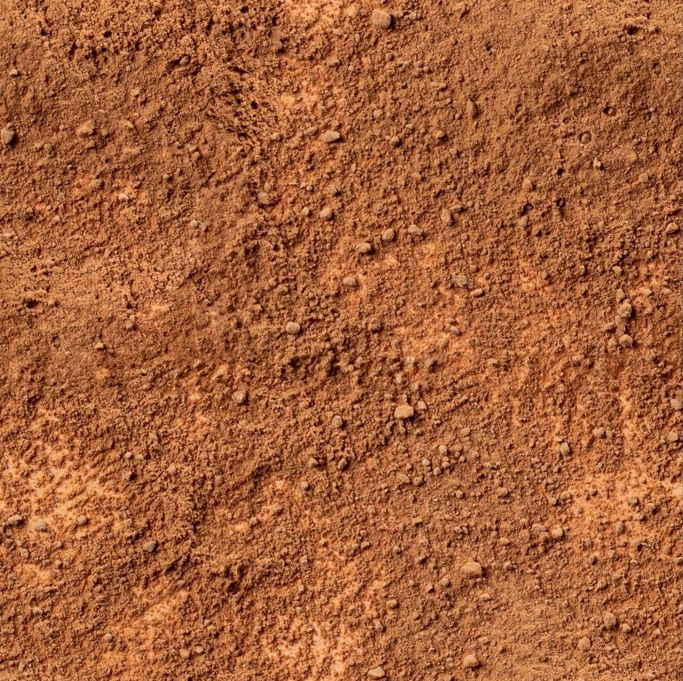 THROTTLE THRILLS  Dirt 4081 I