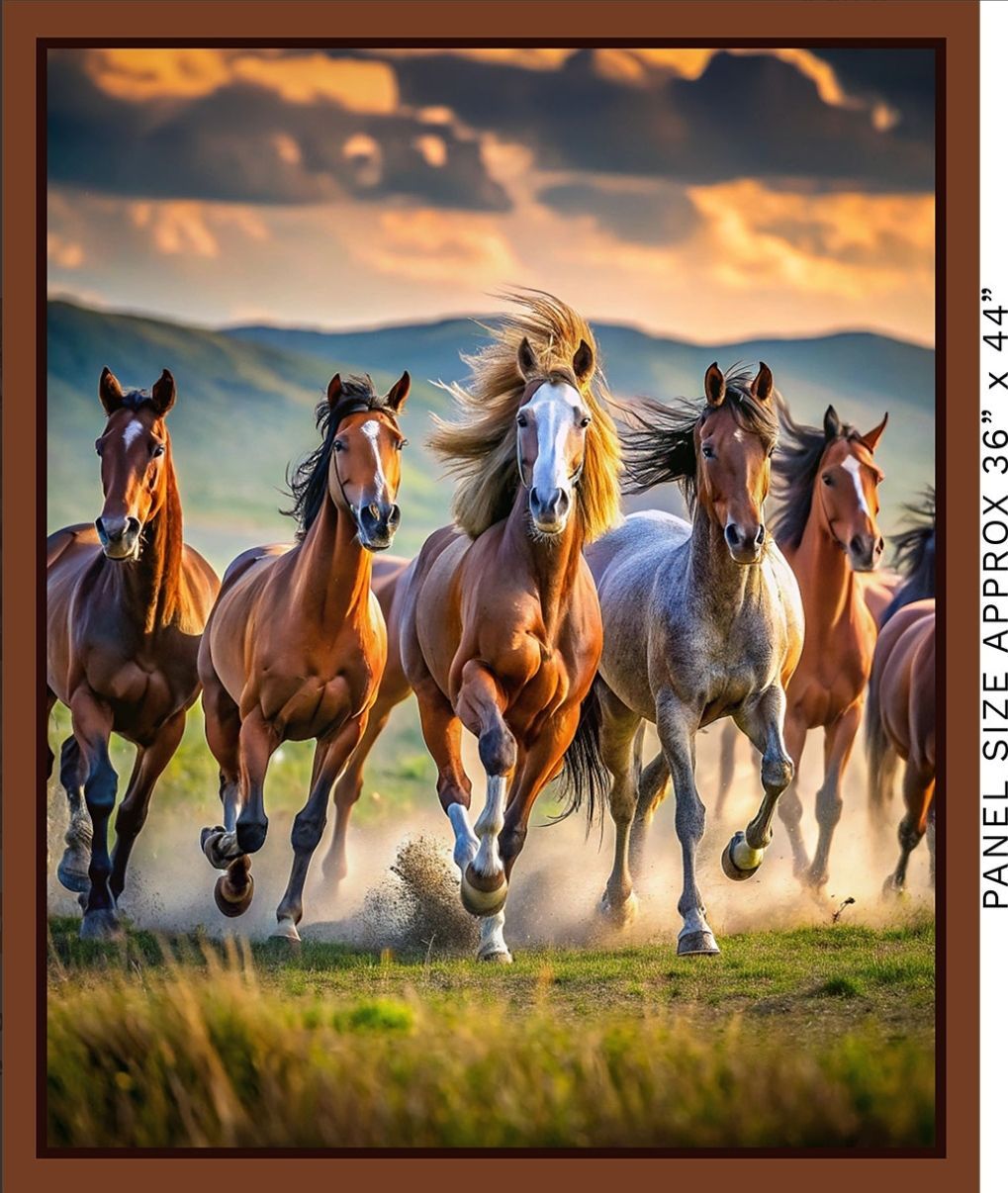 Running Free Panel 36" x WOF 4124A