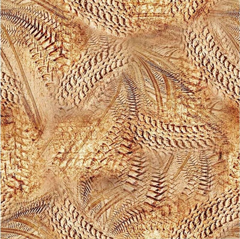 Monster Trucks Tyre Tracks 4128J